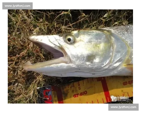 大爷钓起金黄大鱼，围观者哇声一片：这鱼值两万？